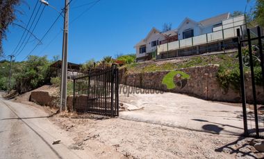 Venta de parcela con linda casa, agua y electricidad instalada, frutales y piscina. Vicuña. $254 millones