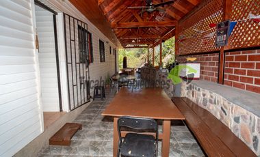 Venta de parcela con linda casa, agua y electricidad instalada, frutales y piscina. Vicuña. $254 millones