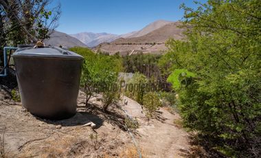 Venta de parcela con linda casa, agua y electricidad instalada, frutales y piscina. Vicuña. $254 millones