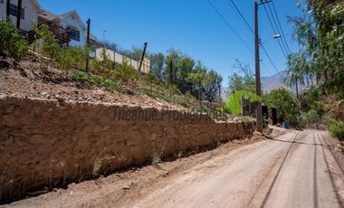 Venta de parcela con linda casa, agua y electricidad instalada, frutales y piscina. Vicuña. $254 millones