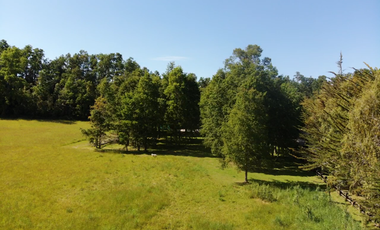 Terreno en venta en Futrono, Ranco