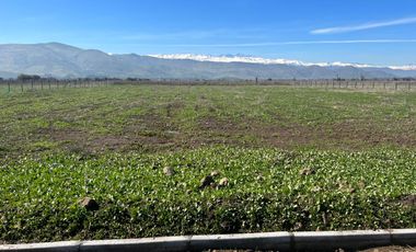 Parcela con Rol Propio, Luz y Agua en Batuco