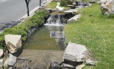 CASA RENTA LOMAS DEL VERGEL ZONA SUR MONTERREY