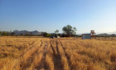Hermosa Parcela con Rol Propio, Loteo los Andes, Comuna de Colina.