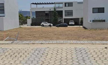 Lotes en Parque Nayarit (juntos o separados)