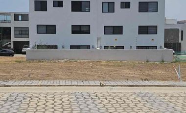 Lotes en Parque Nayarit (juntos o separados)