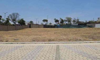 Lotes en Parque Nayarit (juntos o separados)