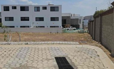 Lotes en Parque Nayarit (juntos o separados)