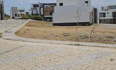 Lotes en Parque Nayarit (juntos o separados)