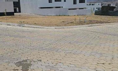 Lotes en Parque Nayarit (juntos o separados)