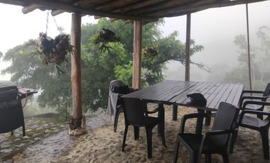 Damasco Vereda Cordoncillo Finca En Venta 380 Mm