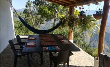 Damasco Vereda Cordoncillo Finca En Venta 380 Mm