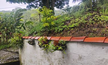 Damasco Vereda Cordoncillo Finca En Venta 380 Mm