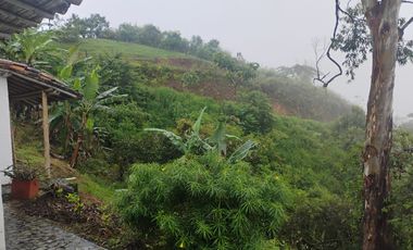 Damasco Vereda Cordoncillo Finca En Venta 380 Mm