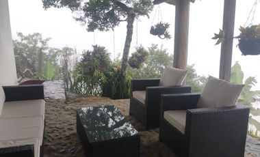 Damasco Vereda Cordoncillo Finca En Venta 380 Mm