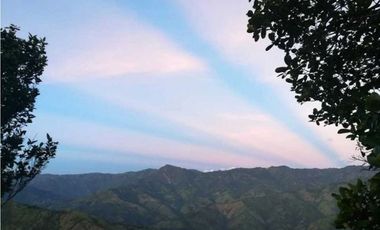 Damasco Vereda Cordoncillo Finca En Venta 380 Mm