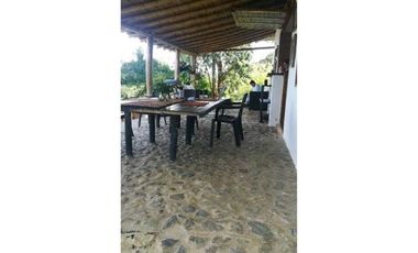 Damasco Vereda Cordoncillo Finca En Venta 380 Mm