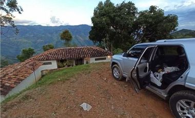 Damasco Vereda Cordoncillo Finca En Venta 380 Mm