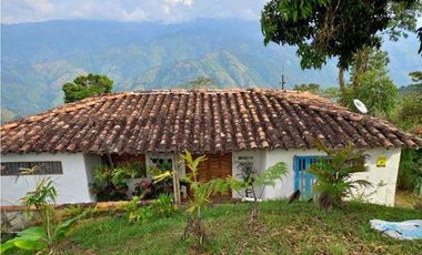 Damasco Vereda Cordoncillo Finca En Venta 380 Mm