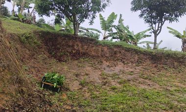 Damasco Vereda Cordoncillo Finca En Venta 380 Mm