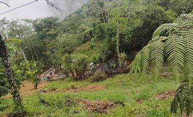 Damasco Vereda Cordoncillo Finca En Venta 380 Mm