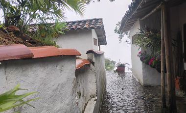 Damasco Vereda Cordoncillo Finca En Venta 380 Mm