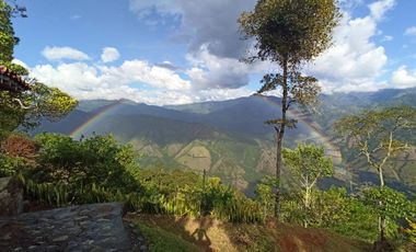 Damasco Vereda Cordoncillo Finca En Venta 380 Mm