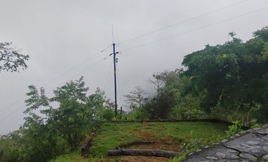 Damasco Vereda Cordoncillo Finca En Venta 380 Mm