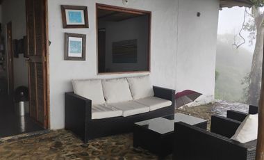 Damasco Vereda Cordoncillo Finca En Venta 380 Mm