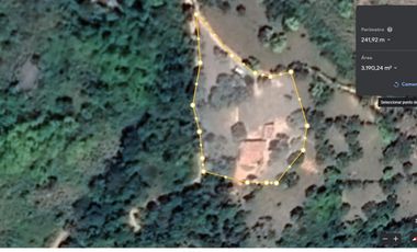 Damasco Vereda Cordoncillo Finca En Venta 380 Mm