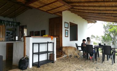 Damasco Vereda Cordoncillo Finca En Venta 380 Mm