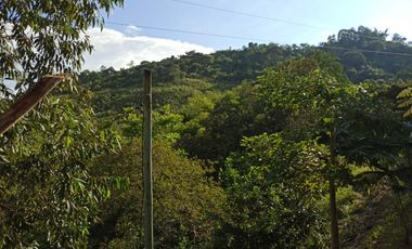 Damasco Vereda Cordoncillo Finca En Venta 380 Mm