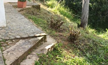 Damasco Vereda Cordoncillo Finca En Venta 380 Mm