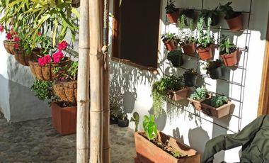 Damasco Vereda Cordoncillo Finca En Venta 380 Mm