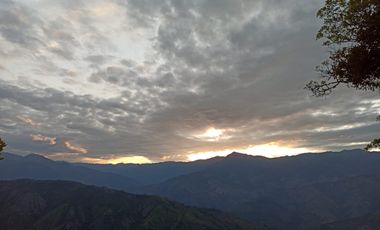 Damasco Vereda Cordoncillo Finca En Venta 380 Mm