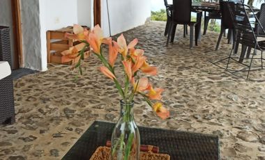 Damasco Vereda Cordoncillo Finca En Venta 380 Mm