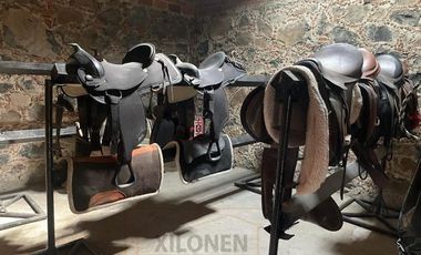 Rancho Privilegiado Con 2 Pozos en venta Y Bella Ecología. 10 Caballerizas, Potreros. Lago, Invernaderos, etc.