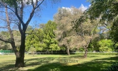 Rancho Privilegiado Con 2 Pozos en venta Y Bella Ecología. 10 Caballerizas, Potreros. Lago, Invernaderos, etc.