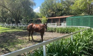 Rancho Privilegiado Con 2 Pozos en venta Y Bella Ecología. 10 Caballerizas, Potreros. Lago, Invernaderos, etc.