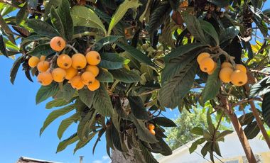 Casa de un piso Población panamericana,La calera