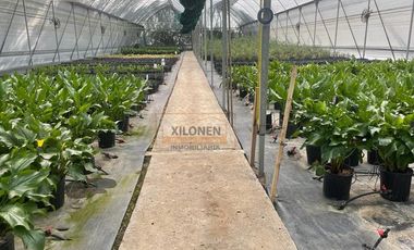 Rancho Señorial Privilegiado, con 3 Pozos y Bella Ecología. Casa estilo Mediterránea amueblada, con alberca, 10 caballerizas: Frontón y Pádel tenis.