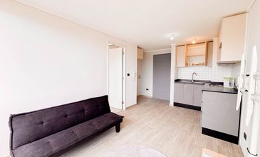 Departamento en Edificio Rozas Condell · Arriendo $450.000   semiamoblado