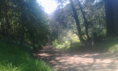 VENDO TERRENO EN OCOTLAN DE BETANCOUR, PUEBLA