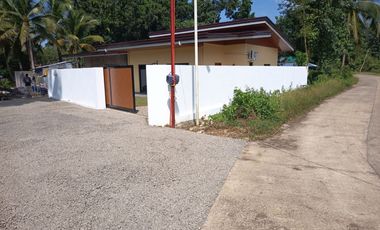 Well Built Modern House and Lot in Dauis, Panglao Island (newly constructed)