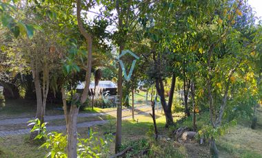 SE ARRIENDA CON OPCION DE COMPRA 2 CASAS EN AMPLIO TERRENO EN PINTUE, PAINE