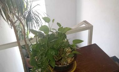 Excelente casa en venta en Vista Hermosa 