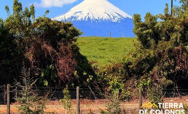 Venta Parcela 1 hectárea Frutillar Bajo