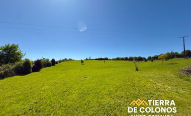 Venta Parcela 1 hectárea Frutillar Bajo