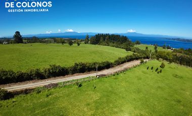 Venta Parcela 1 hectárea Frutillar Bajo