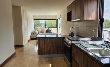 Departamento amueblado en renta con roof garden en Zirándaro, San Miguel de Allende